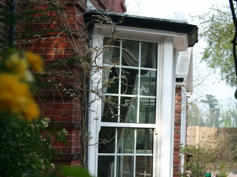 Sash Windows Alexandra Palace